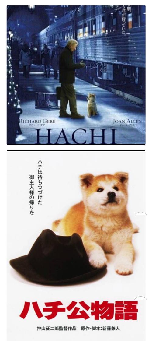 忠犬八公日本版VS美版